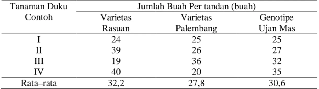 Tabel 2.  Jumlah buah per  tandan tanaman duku varietas Rasuan, varietas Palembang  dan Genotipe Ujan Mas 