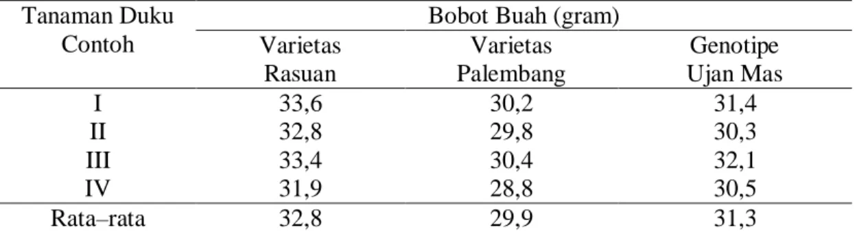 Tabel 4.   Hasil pengamatan bobot buah   duku varietas Rasuan, varietas Palembang dan  Genotipe Ujan Mas (gram) 