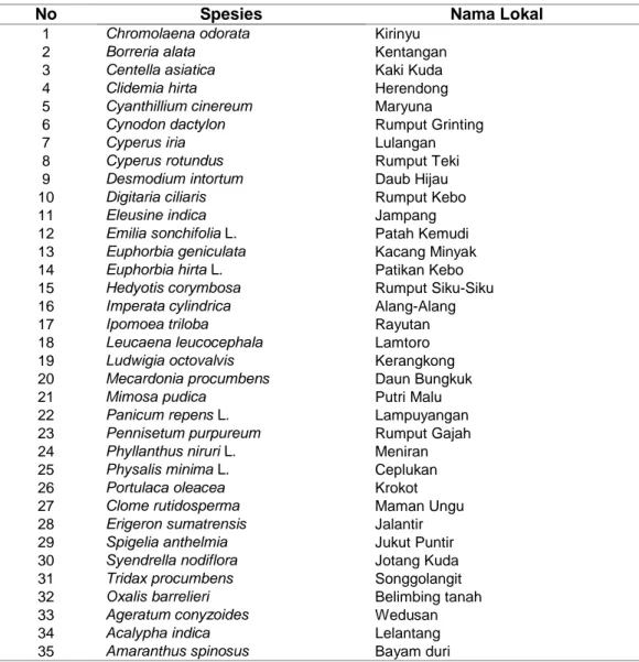 Tabel 1 Daftar Gulma yang Terdapat pada Lokasi Penelitian