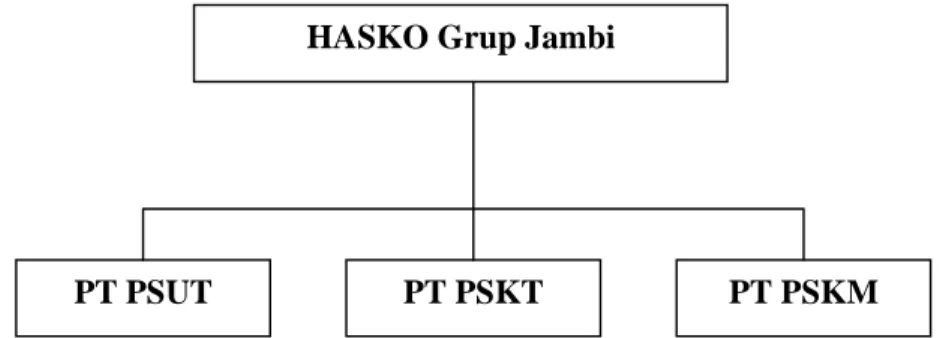 Gambar 1. Struktur HASKO Grup Jambi HASKO Grup Jambi 