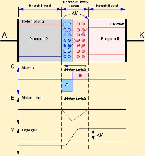 Gambar 2.101 adalah hubungan PN dalam suhu ruang tanpa pemberian  tegangan  bias.  Di  bawah  gambar  hubungan  (junction)  ,  dilukiskan  kepadatan pngisian, medan listrik dan tegangan
