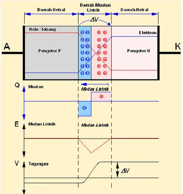Gambar 2 adalah hubungan PN dalam suhu ruang tanpa pemberian  tegangan  bias.  Di  bawah  gambar  hubungan  (junction)  ,  dilukiskan  kepadatan  pngisian,  medan  listrik  dan  tegangan