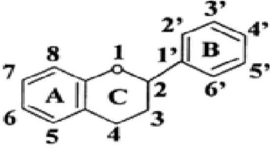 Gambar 1. Struktur Flavonoida 