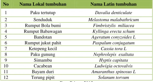 Tabel  1  :  spesies  tumbuhan  yang  berada  di  kawasan  penambangan  emas  Desa  Hulawa