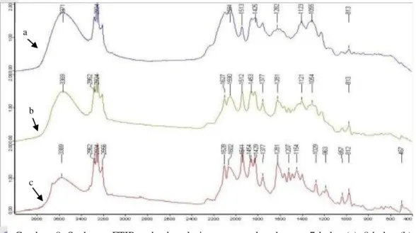 Gambar  8  Spektrum FTIR pada ekstrak rimpang temulawak umur 7 bulan (a), 8 bulan (b)  dan 9 bulan (c)