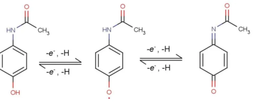 Gambar 2. Mekanisme Pembentukan N-acetyl-p-benzoquinone imine  ( NAPQI) 