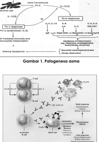 Gambar 1. Patogenesa asma 