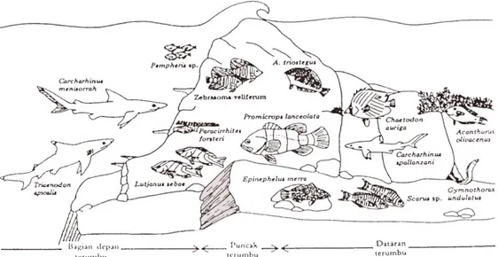 Gambar  3.    Gambaran  Umum  Sifat-sifat  Ikan  dan  Habitatnya  pada    Terumbu    Karang (Sumber: Nybakken 1992) 