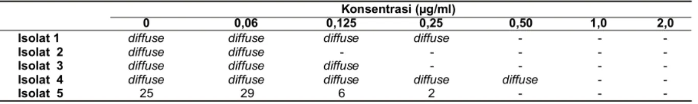 Tabel 1. Jumlah Koloni pada Masing-Masing Isolat dalam Berbagai Konsentrasi