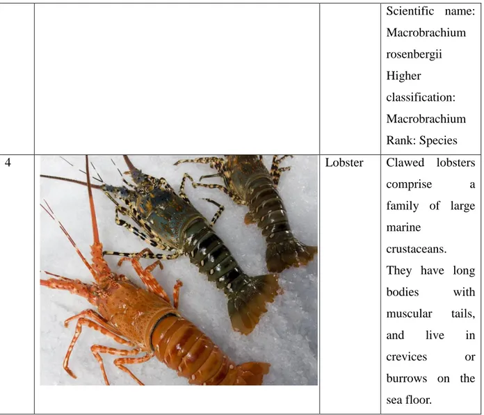 Tabel 0 : Jenis-Jenis Shrimps&amp;Prawns di Indonesia  Sumber : www.google.com   