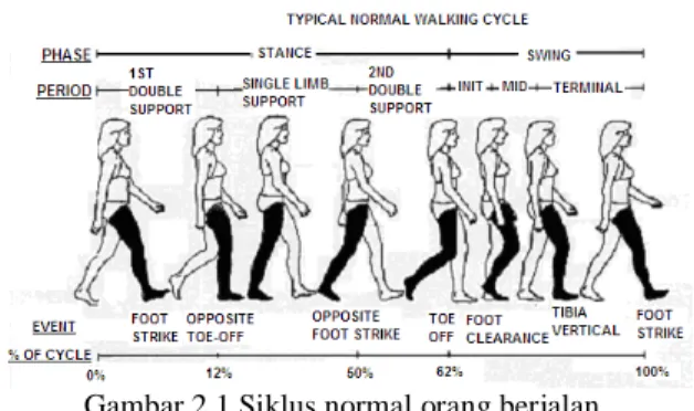 Gambar 2.1 Siklus normal orang berjalan. 