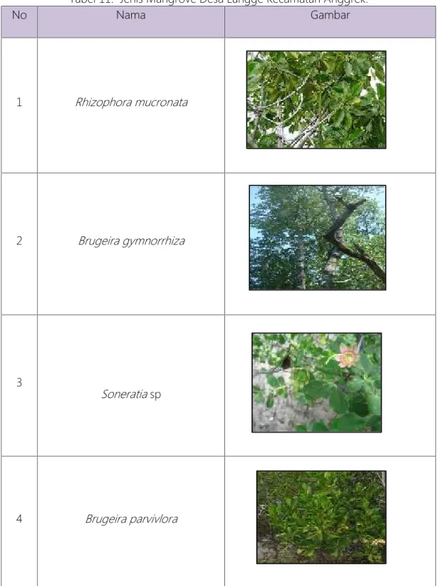 Tabel 11. Jenis Mangrove Desa Langge Kecamatan Anggrek.