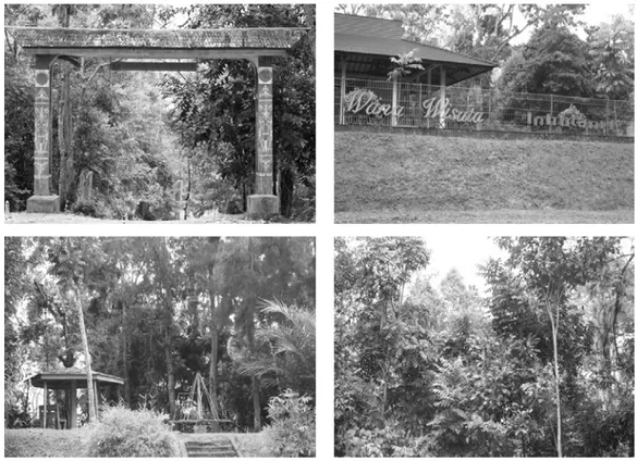 Gambar 3. Kondisi lingkungan arboretum wana wisata Inhutani Balikpapan. 
