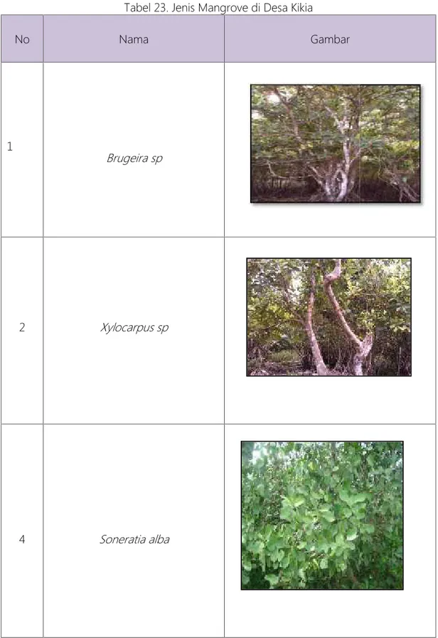 Tabel 23. Jenis Mangrove di Desa Kikia