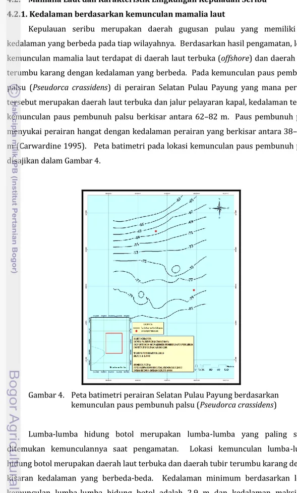 Gambar 4.  Peta batimetri perairan Selatan Pulau Payung berdasarkan  kemunculan paus pembunuh palsu (Pseudorca crassidens) 