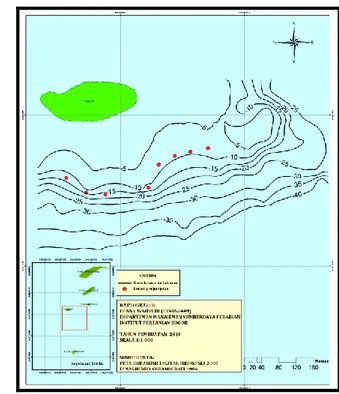 Gambar 8.  Peta batimetri perairan Pulau Semut berdasarkan kemunculan   lumba-lumba hidung botol (Tursiops truncatus) 