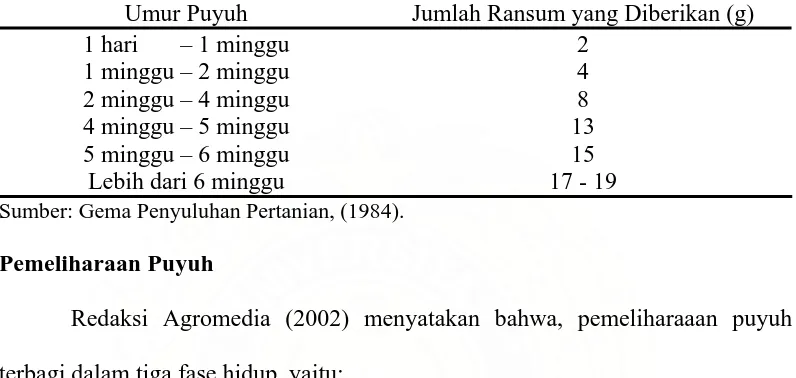 Tabel 3. Jumlah ransum yang diberikan per hari menurut umur puyuh 