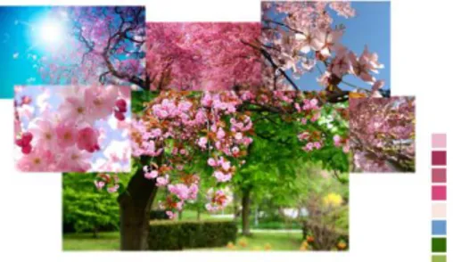 Gambar 1. Image Board Spring (Puspitorukmi: 2013)  Warna musim semi: 