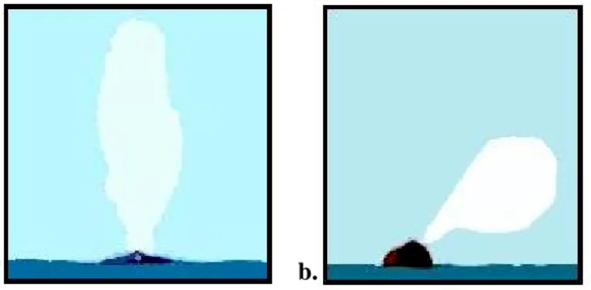 Gambar 7.  (a). bentuk semburan pada paus biru 