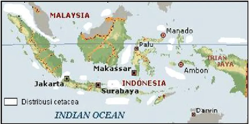 Gambar 8. Distribusi cetacea di Indonesia menurut Rudolph, 1997