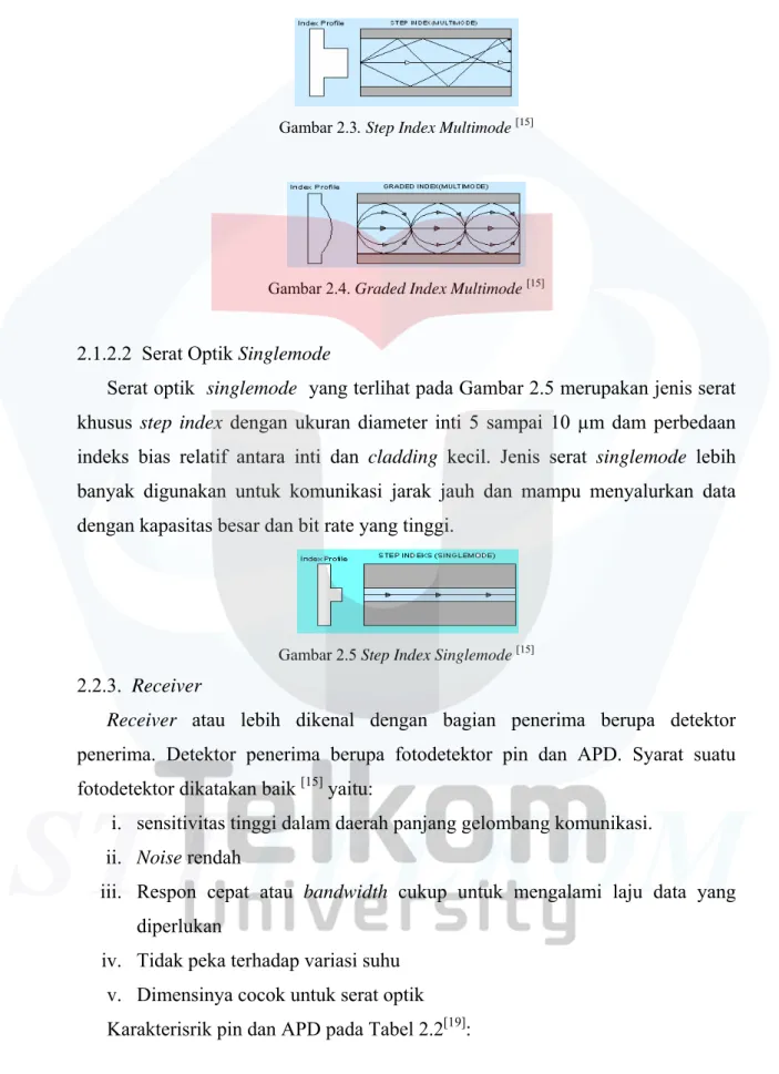Gambar 2.3. Step Index Multimode  [15] 
