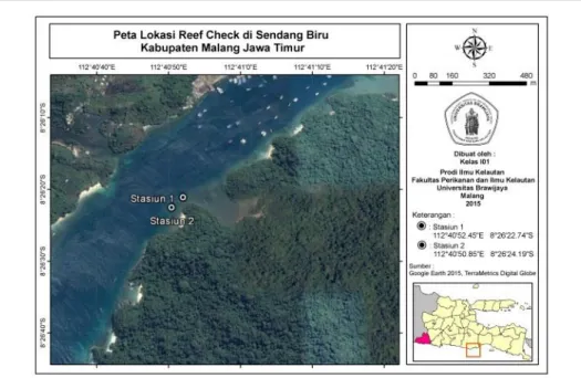 Gambar 2. Ilustrasi metode pengambilan data ikan karang menggunakan underwater visual  census (UVC) (ReefCheck.org) 