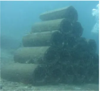Gambar 3. Modul beton silinder, salah satu terumbu buatan (artificial reef) di perairan  Pulau  Kodingarengkeke 
