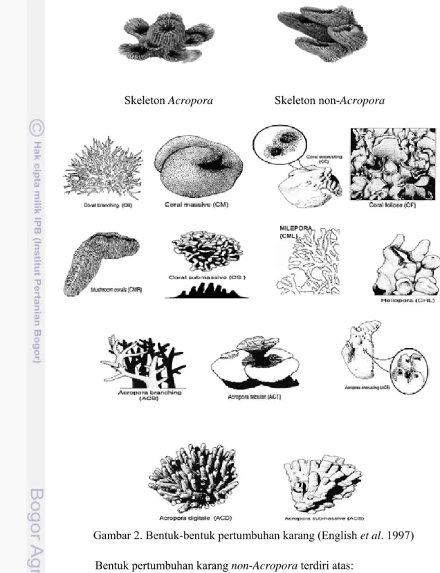 Gambar 2. Bentuk-bentuk pertumbuhan karang (English et al. 1997)  Bentuk pertumbuhan karang non-Acropora terdiri atas: 