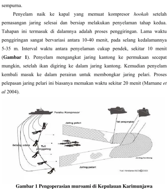 Gambar 1 Pengoperasian muroami di Kepulauan Karimunjawa   (Marnane et al 2004). 
