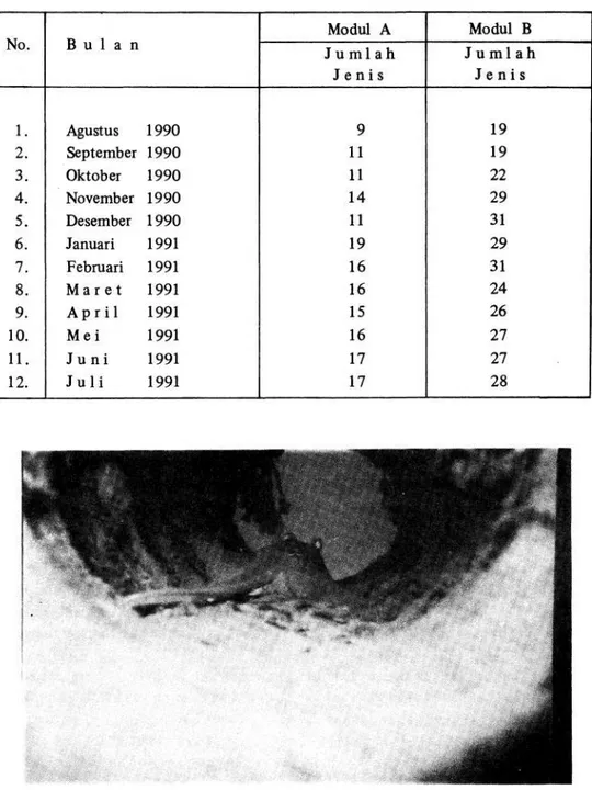 Tabel 1. Jumlah jenis ikan yang berhasil dicatat di kedua Modul (A dan B) selama peng- peng-amatan Agustus 1990 s/d Juli 1991