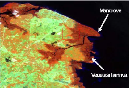 Gambar 2.  Citra landsat komposit 453. 