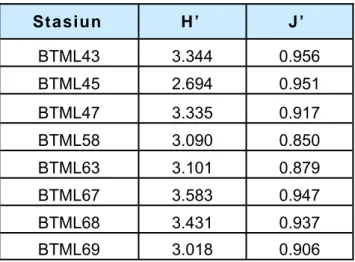 Tabel 2.  Nilai indeks keanekaragaman jenis Shannon (H’) yang  dihitung menggunakan ln (=log e) dan Indeks  kemer-ataan Pielou (J’) untuk karang batu di masing-masing  stasiun transek permanen dengan metode LIT