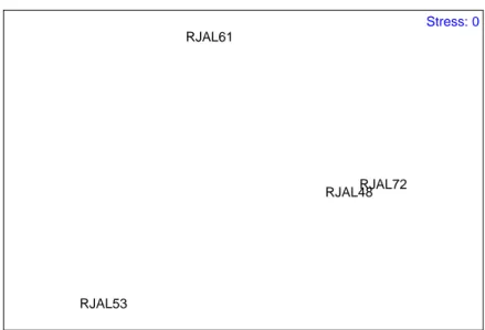 Gambar 8. MDS untuk stasiun studi baseline di Rajaampat ber- ber-dasarkan berber-dasarkan jumlah kehadiran  masing-masing jenis karang batu (yang telah ditranformasikan  ke dalam bentuk log (y+1))