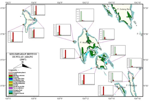 Gambar 6.  Kondisi biota megabentos hasil monitoring di  perairan Pulau Abang, Kotamadya Bantam