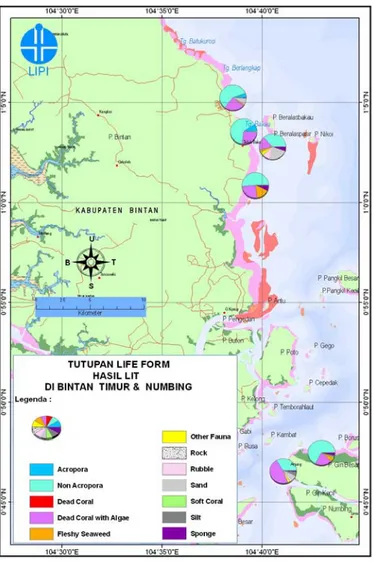 Gambar 4. Peta persentase tutupan kategori biota dan substrat  hasil monitoring dengan metode “LIT” di perairan  Bintan Timur dan Numbing, Kabupaten Bintan, 2008