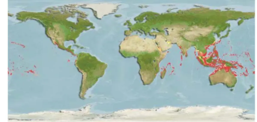 Gambar 10  Peta penyebaran ikan kenari merah (Cheilinus fasciatus) 
