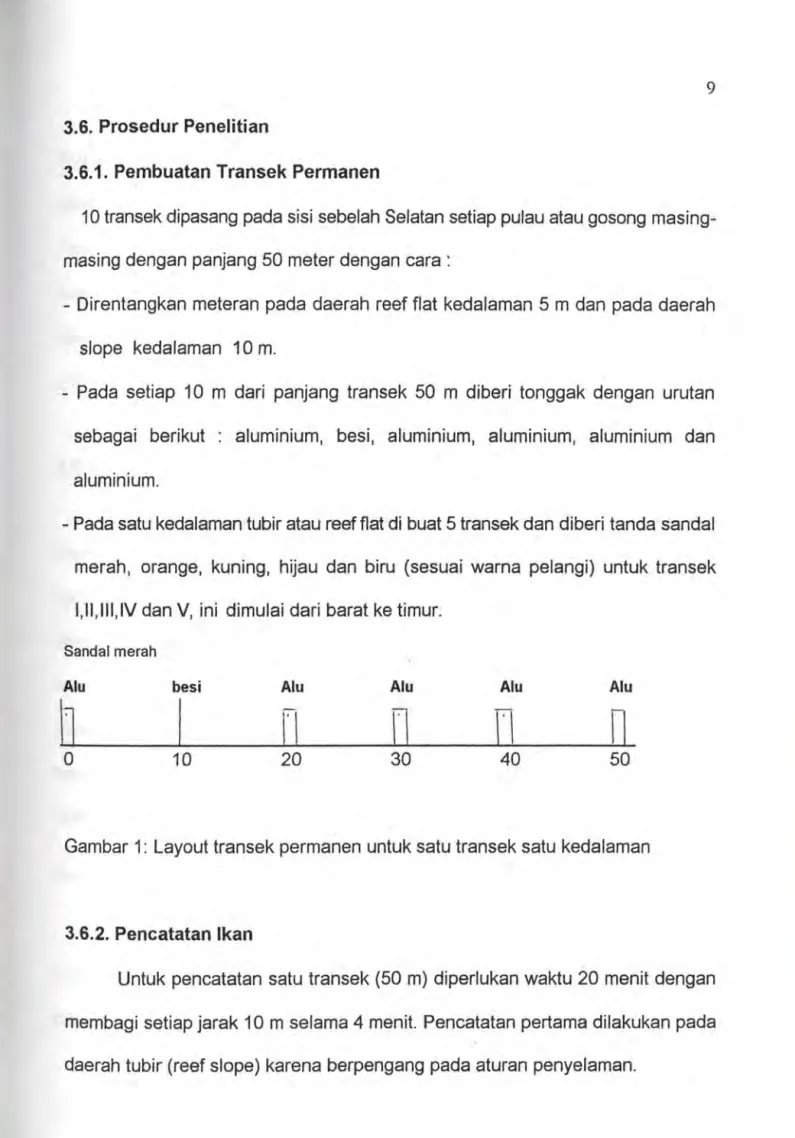 Gambar 1: Layout transek  permanen  untuk satu transek  satu kedalaman 