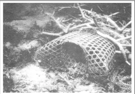 Gambar 1.  Cara pemasangan bubu yang merusak terumbu karang            (Sumber:  Sukmara dkk., 2001) 