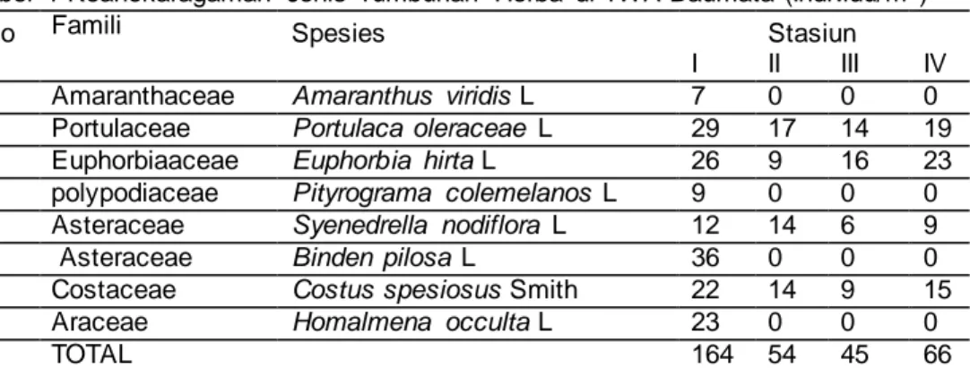 Tabel  1 Keanekaragaman  Jenis  Tumbuhan  Herba  di TWA Baumata  (Individu/m 2 ) 