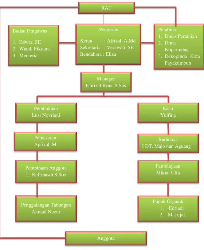 Gambar 1. Struktur Organisai LKMA Pincuran Bonjo Anggota RAT Badan Pengawas 1. Edwar, SE 2