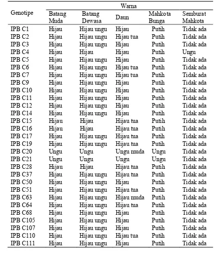 Tabel 2 Karakter kualitatif 29 genotipe cabai berdasarkan warna pada bagian batang, daun, dan mahkota bunga 