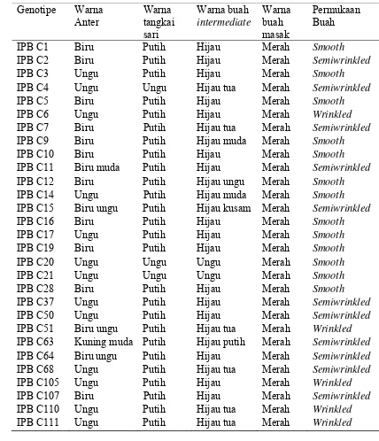 Tabel 3 Karakter kualitatif 29 genotipe cabai berdasarkan warna anter, tangkai sari, buah intermediate, dan permukaan buah 