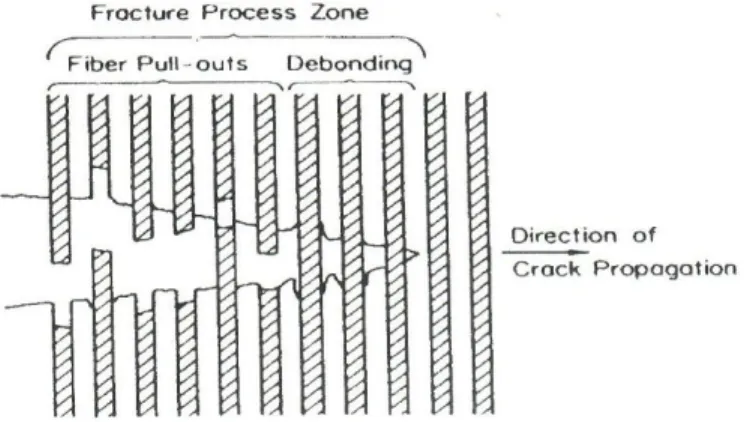 Gambar 2.7Fiber pull out (Schwartz, 1984) 