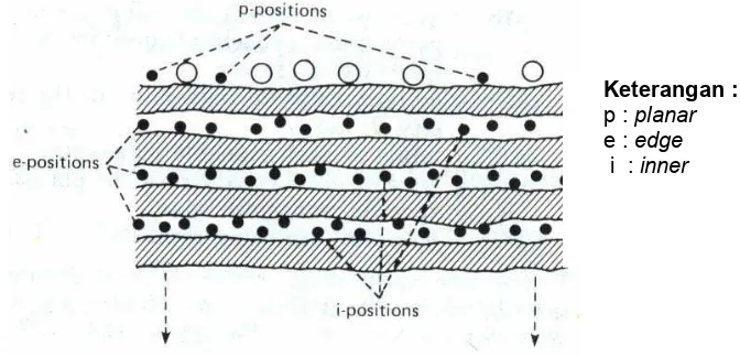 Gambar 4.  Tapak Jerapan K pada Mineral Liat Tipe 2:1 seperti Illit, Vermikulit dan Khlorit (Mengel dan Haeder, 1973 dalam Tisdale, et al., 1985) 