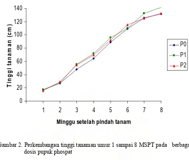 Gambar 2. Perkembangan tinggi tanaman umur 1 sampai 8 MSPT pada   berbagai 
