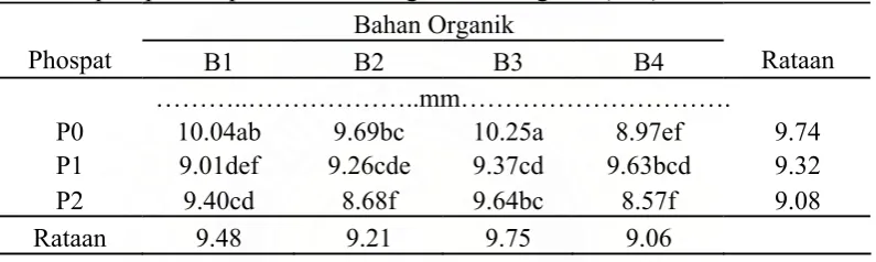 Tabel 3. Diameter batang tomat pada umur 7 MSPT pada berbagai dosis pupuk  phospat dan pemberian berbagai bahan organik (mm)