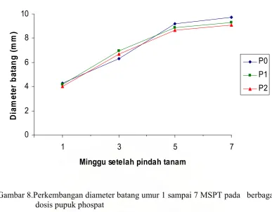 Gambar 8.Perkembangan diameter batang umur 1 sampai 7 MSPT pada   berbagai 