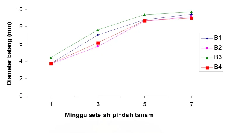 Gambar 9.Perkembangan diameter batang umur 1 sampai 7 MSPT pada   berbagai bahan organik  
