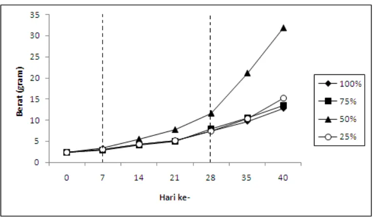 Grafik pertumbuhan benih C. macropomum yang dihasilkan selama 40 hari 