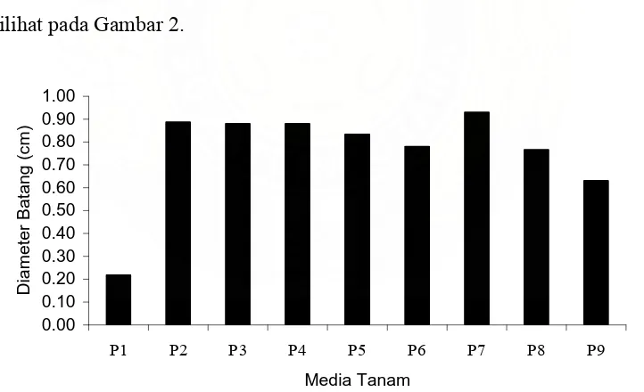 Tabel 2. Rataan Diameter Batang dari 9 Komposisi Media Tanam 
